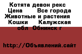 Котята девон рекс › Цена ­ 1 - Все города Животные и растения » Кошки   . Калужская обл.,Обнинск г.